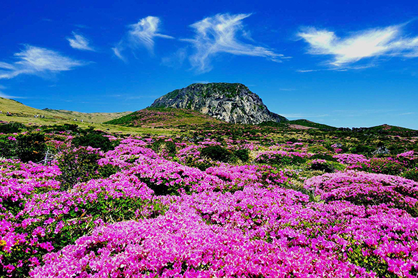 Đảo Jeju