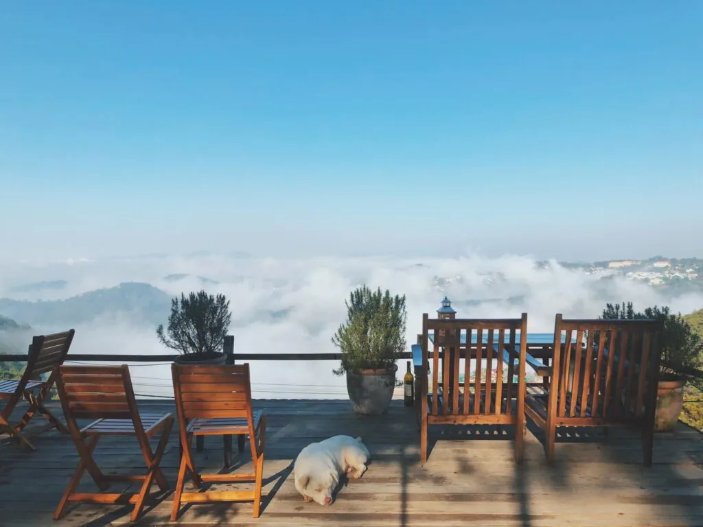 Những quán cà phê ở Đà Lạt có view nhìn từ trên cao, bao quát cả thành phố