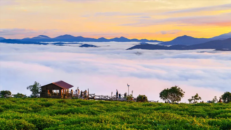 Đồi chè Cầu Đất  là địa điểm săn mây cực đẹp được nhiều người lựa chọn