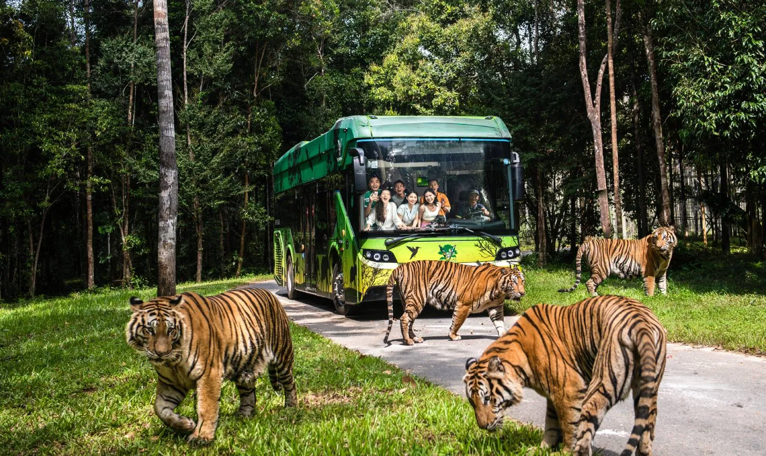 Vinperal Safari thích hợp cho gia đình trải nghiệm