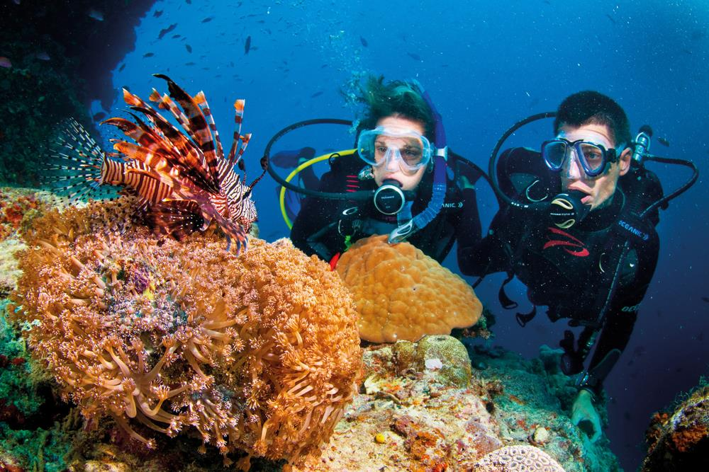 Lặn ngắm san hô - khám phá thiên đường dưới nước