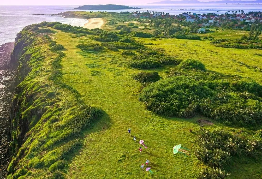 Vẻ đẹp yên bình của đồng quê "hoa vàng trên cỏ xanh"