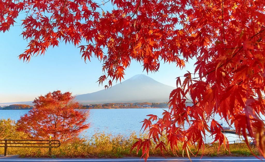 Những điểm du lịch nổi tiếng tại Nhật Bản