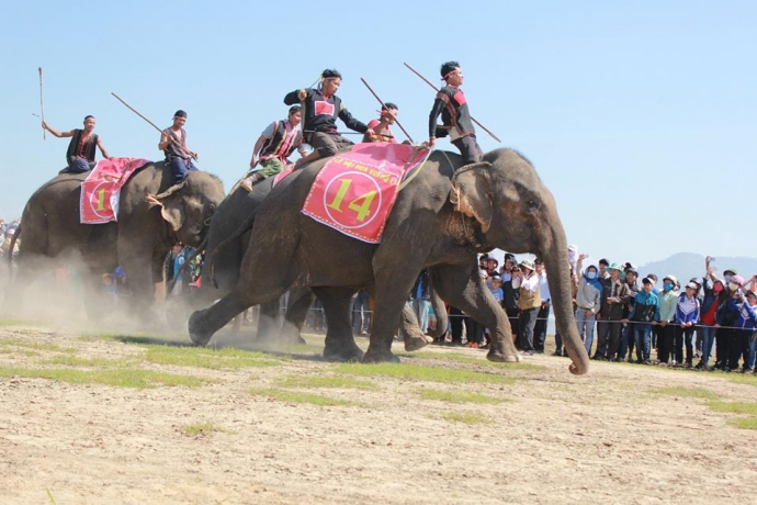 Lễ hội đua voi Tây Nguyên