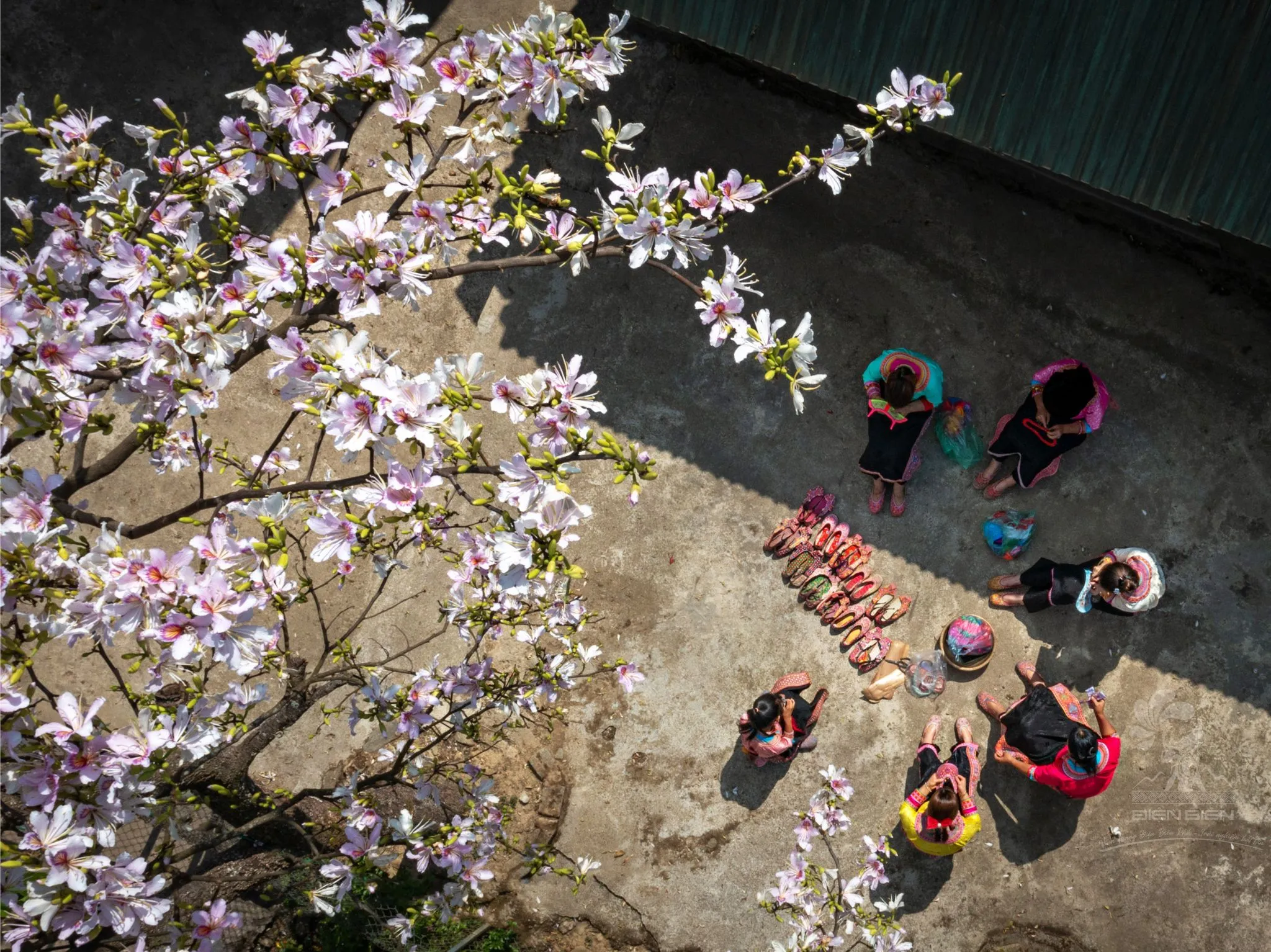 Trải nghiệm lễ hội Hoa Ban nét đẹp văn hóa của người dân Tây Bắc