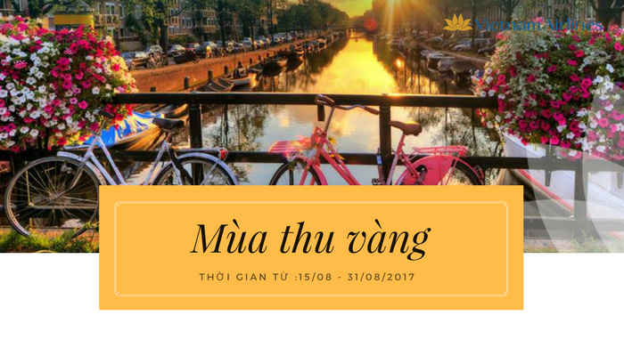 Mùa thu vàng Vietnam Airlines