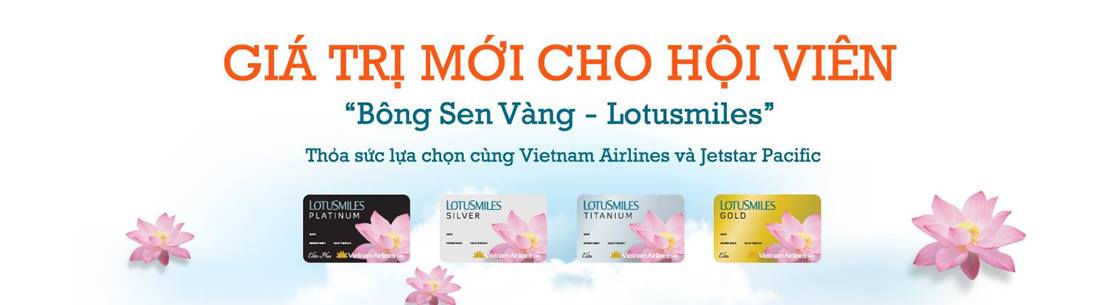 Bông sen vàng Vietnam Airlines
