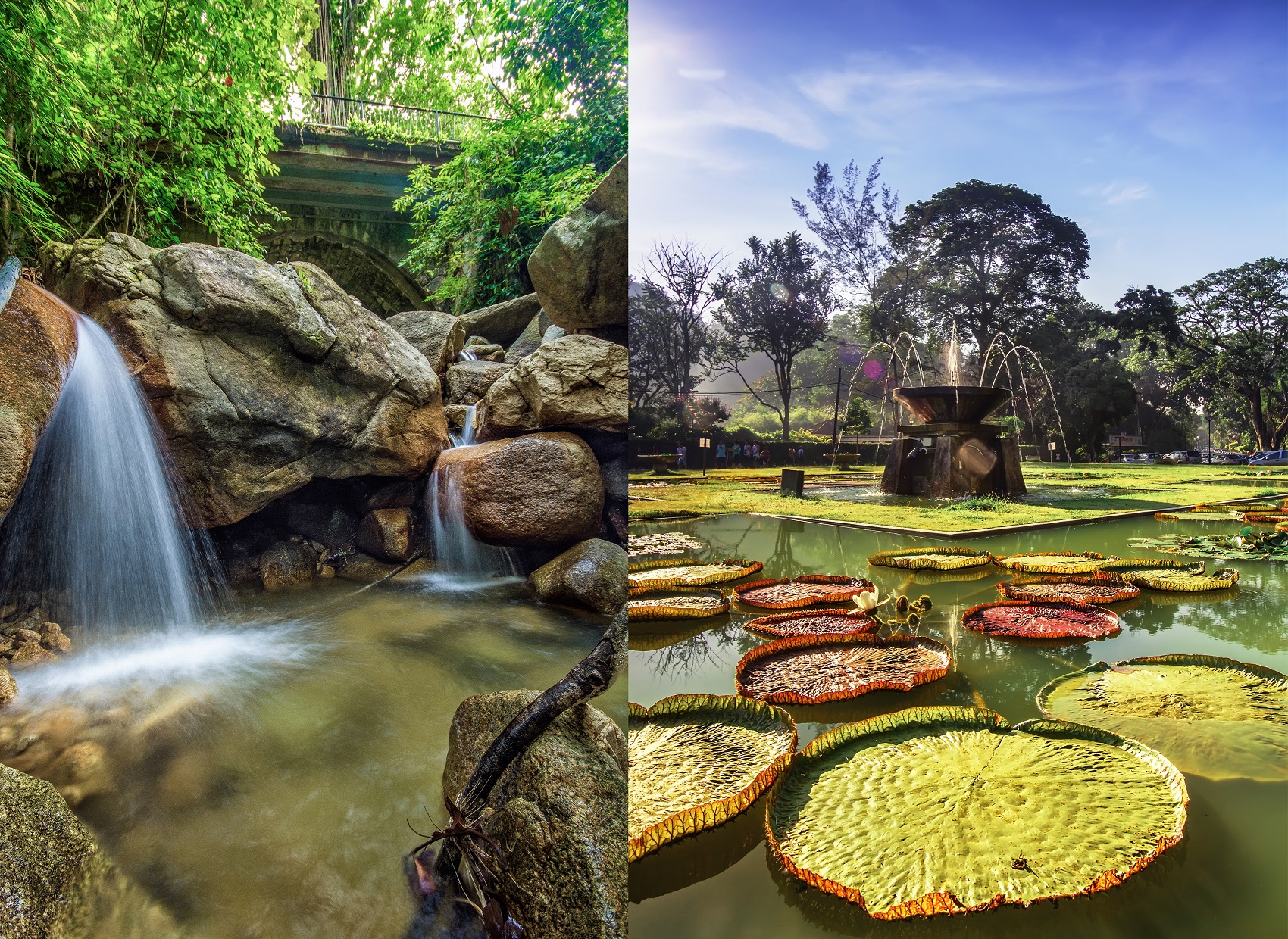 Vườn thực vật, vườn gia vị Penang